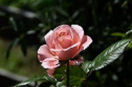 �C���[�W04