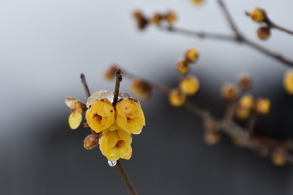 �C���[�W04