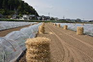 �C���[�W02