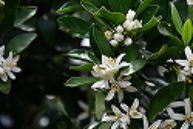 �C���[�W01